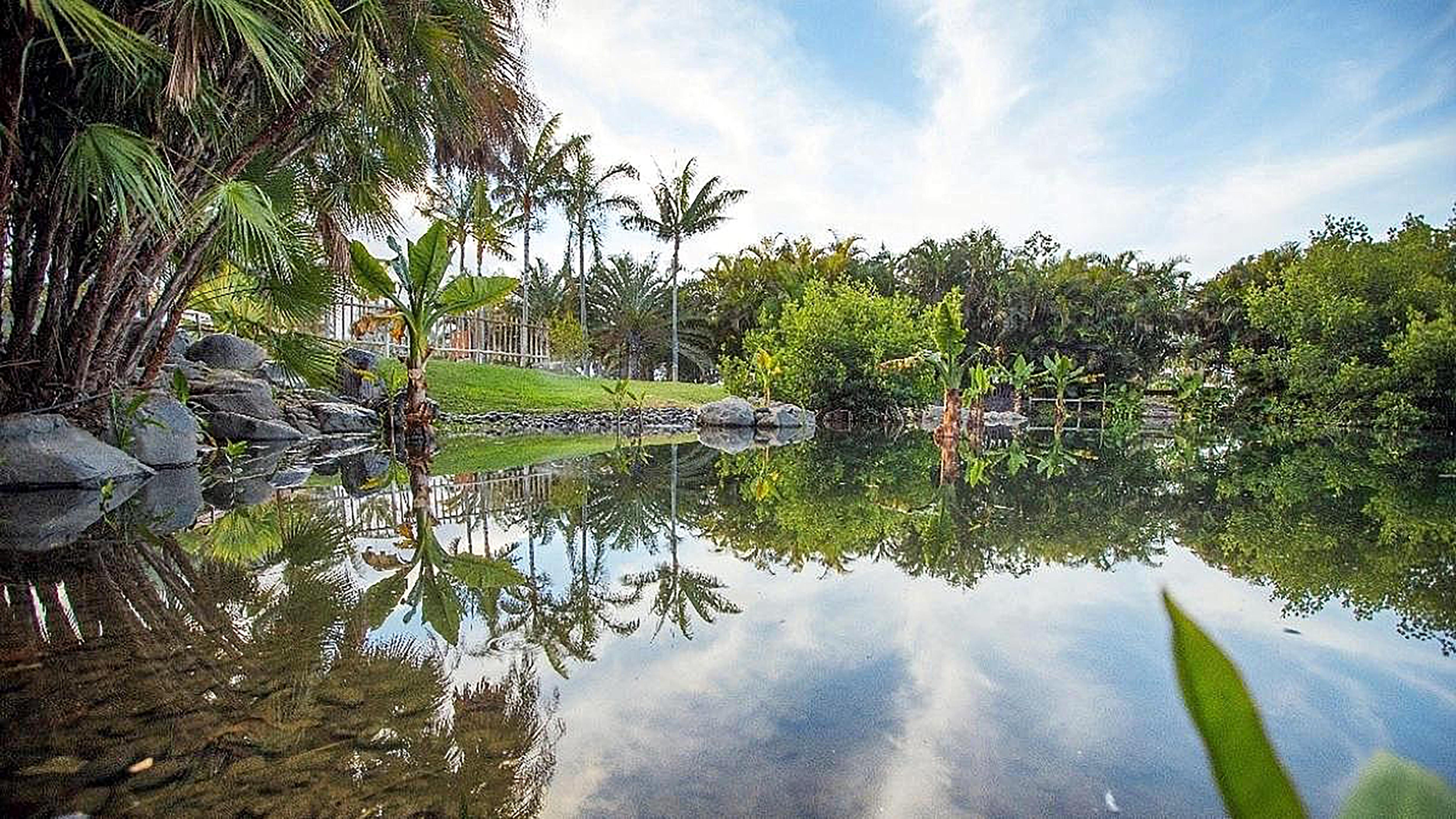 Hotel Adonis Plaza Санта-Крус-де-Тенерифе Экстерьер фото